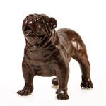 Садово-парковая скульптура бульдог Садово-парковая скульптура бульдог