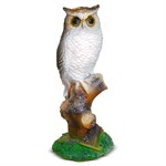 Филин на ветке