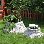 Пни березовые для дачи