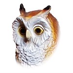 Фигура Совы