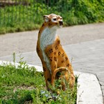 Фигура леопарда