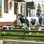 Большая фигура корова