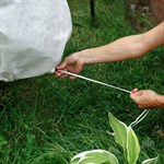 Укрывной колпак для роз Укрывной колпак для роз