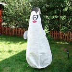 Колпак для растений