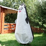 Чехол для хвойников