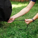 Чехол на розы