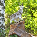 Декоративный фонтан в садовом центре Декоративный фонтан в садовом центре