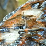 Камни фонтан декоративный для дачи