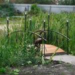 Мостик с фонарями фото