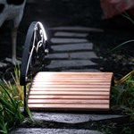 Мостик через пруд