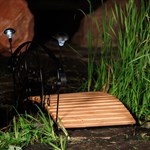 Мостик фото