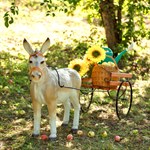 Тележка садовая