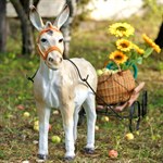 Садовая фигура Осел с телегой