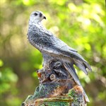 Фонтан Орел на скале