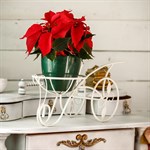 Подставка на подоконник под фиалки Подставка на подоконник под фиалки