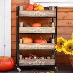 Ящики для хранения овощей