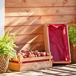 Ящик для хранения урожая