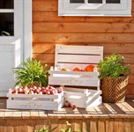 Ящики для хранения фото Ящики для хранения фото