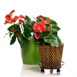 Напольная подставка для цветов 