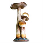 Фигуры из полистоуна Опята F02011 - фото 27818 Фигуры из полистоуна Опята F02011 - фото 27818