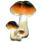 Садовая фигура гриб березовый F07161 Садовая фигура гриб березовый F07161