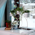 Кованые подставки для цветов