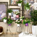 Стойка для цветов