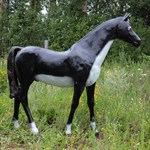 Фигура Коня Фигура Коня