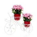 Цветочница кованая  Цветочница кованая