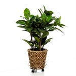 Напольная подставка для цветов