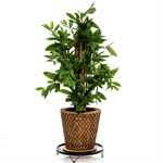 Напольная подставка за 750 руб. 