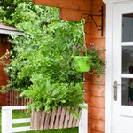 Кронштейн для цветов за 330 руб.