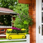 Кованый кронштейн