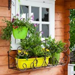 Подвесной кронштейн для цветов Подвесной кронштейн для цветов