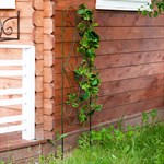 Шпалера 57-011