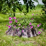 Кашпо для цветов U07911