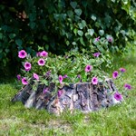 Кашпо для цветов за 2430 руб.