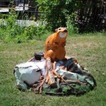 Крышка люка бобер