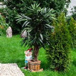 Кашпо для растений  Кашпо для растений