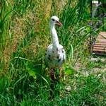 Садовая фигурка аист