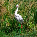 Фигурка для сада