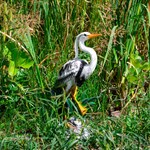 Садовая фигурка цапля