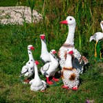 Садовые фигуры птицы