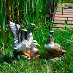 Утки для сада Утки для сада