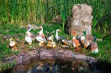 Фигуры для сада утки
