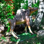 Лосенок F07432