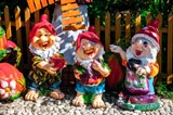 Гномики садовые 