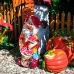 Гном с грибами Гном с грибами