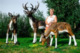 Садово-парковые фигуры оленей