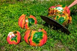 Тыквы садовые фигуры